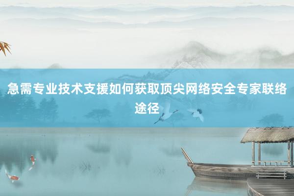 急需专业技术支援如何获取顶尖网络安全专家联络途径
